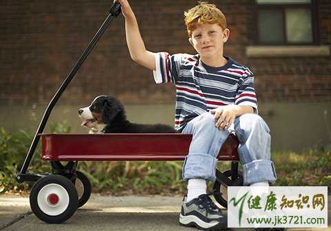 孩子性早熟会长不高吗如何预防孩子性早熟插图1