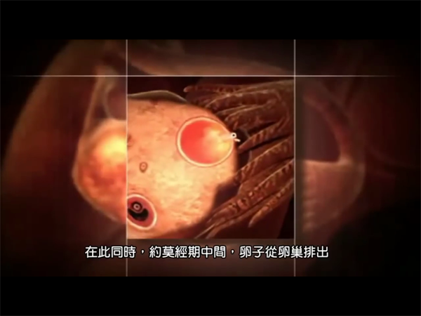 2025国内比较大的试管助孕机构排名！正规助孕机构怎么找插图1
