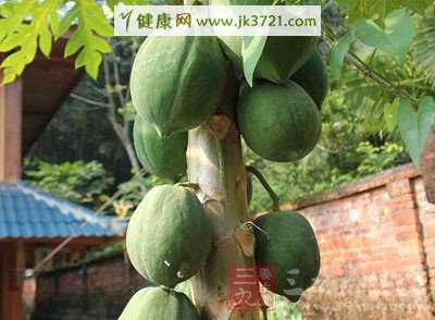 胸小吃什么变大？丰胸食谱插图