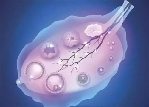 冻胚移植后有月经感是怎么回事？如何缓解冻胚移植后的月经感插图1