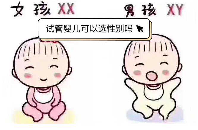 私立医院做第三代试管可以选择性别吗？国内做三代试管选性别靠谱吗？插图