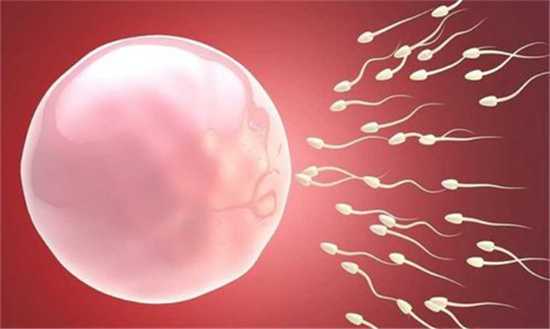 les赴美国试管助孕生子流程一览！揭晓2025Les试管婴儿的花费插图