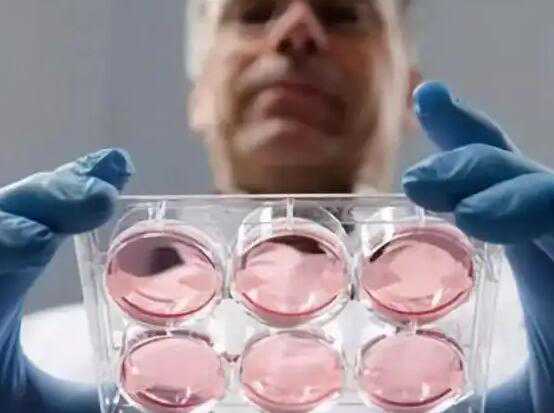 第三代试管男孩的价格怎么样？附生男孩明细费用插图
