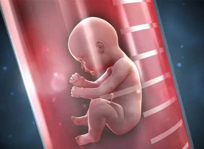 试管婴儿是不是生男的概率大？试管婴儿为什么男孩多？插图