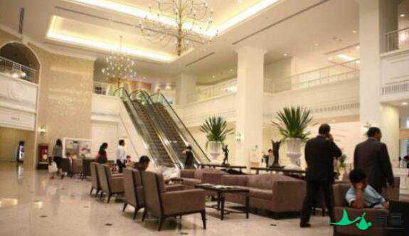 2024年泰国试管婴儿医院比拼，选择更适合你的插图2