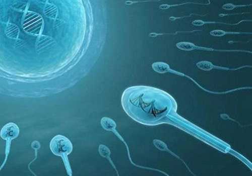 三代试管精子分离术生男孩价格多少钱?费用10万够吗?插图1 三代试管精子分离术生男孩价格多少钱?费用10万够吗?插图1