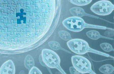 郑大一附院2024试管婴儿助孕生男孩费用明细，附成功率参考？插图
