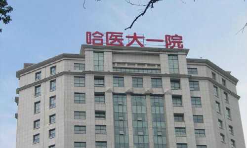 黑龙江试管婴儿医院排名？黑龙江试管助孕成功率指南？插图