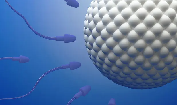 人工受精可以直接要男孩吗？附详细流程插图1
