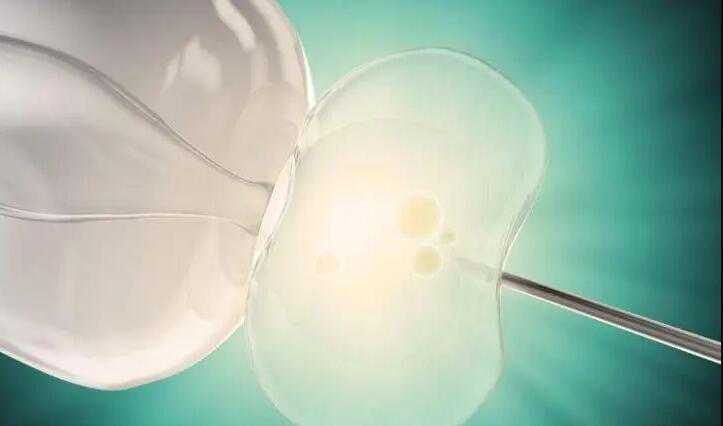 第三代试管婴儿生男孩很容易？实际情况是怎样的？插图