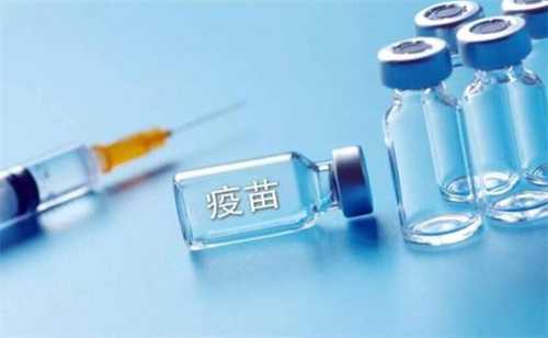 2024沈阳脊灰疫苗接种指南更新!附沈阳脊灰疫苗注射价格插图 undefined