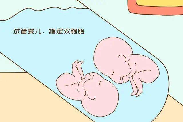 试管婴儿为什么不建议要双胞胎插图1