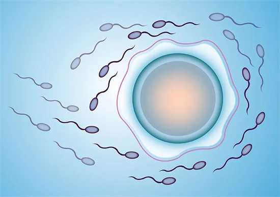 吉大一院养囊多少钱？女性年龄对养囊成功率有影响插图