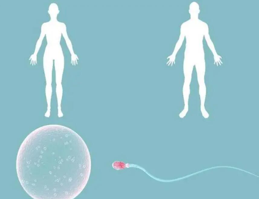 试管选性别对孩子健康有影响吗？试管选性别的影响大吗？插图2