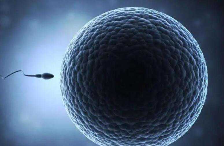 南昌妇幼保健院做三代试管生男孩多少钱？南昌妇幼试管费用排名？插图2