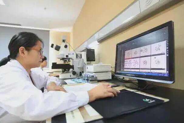 人工授精可以选择孩子性别吗？附详细选性别方法？插图1
