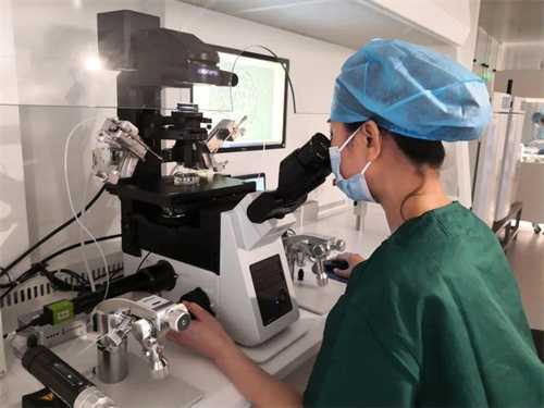 试管一移失败二移成功几率多大？解读影响试管移植成功率的因素插图1