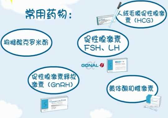 试管婴儿常用药及药物作用插图