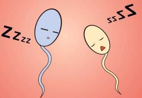 供精试管婴儿是自己亲生的吗?供精试管生的孩子更像谁插图 undefined