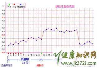 女性排卵期体温是多少度从体温变化看排卵期插图2 女性排卵期体温是多少度从体温变化看排卵期插图2
