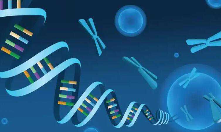 上海市第一人民医院三代包生男孩吗？生男孩价格多少？插图2