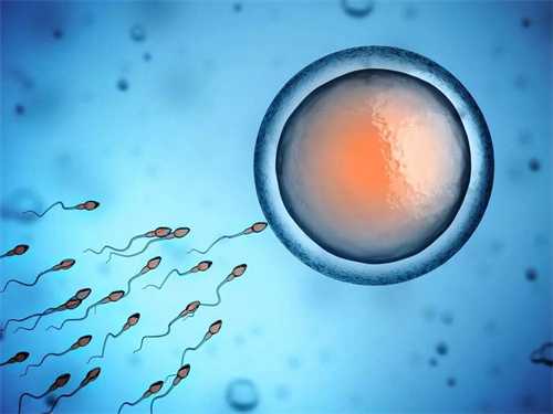 生男孩的科学备孕方法有哪些?如何备孕才能提高生男孩的几率?插图 undefined
