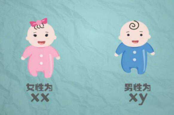 三代试管包生男孩价格多少钱？五万元能做成功吗？插图