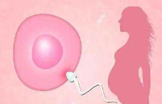 试管三代能要做男和女吗？附机构生男女费用？插图