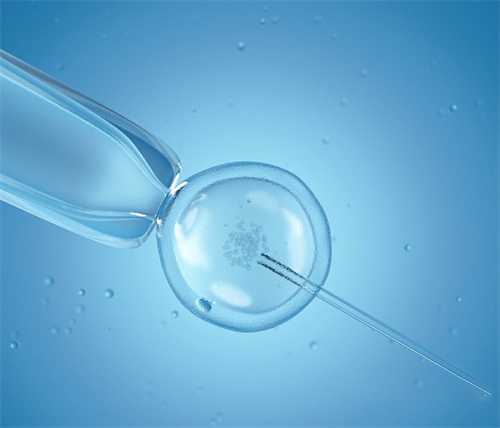 分析试管婴儿促排有空卵泡的原因！卵巢功能异常只是其一插图1