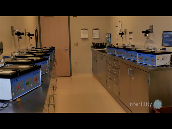 试管婴儿具体放几个胚胎有规定！为什么说试管放二个胚胎不如放一个插图1