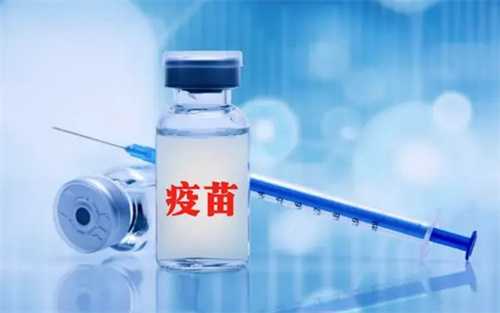 麻腮风联合疫苗的免疫周期一览！附打完麻腮风疫苗到产生抗体的时间插图