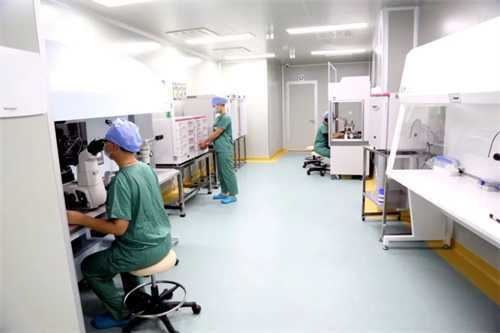 盘点试管婴儿养囊失败的三大原因！附养囊失败后的解决办法插图