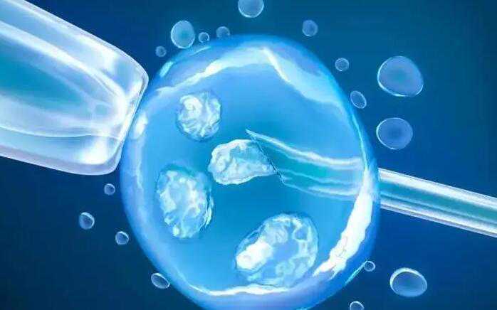 杭州试管婴儿私立生男孩医院排名介绍？附详细成功率？插图1