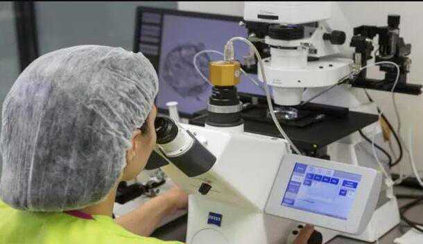 南宁三代试管选男孩多少钱？附详细南宁试管费用？插图