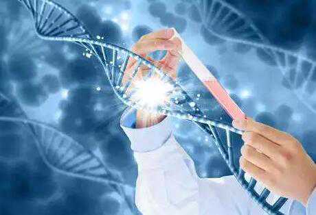 河北哪家医院能做试管生男孩？河北做试管生男孩的医院有哪些？插图2