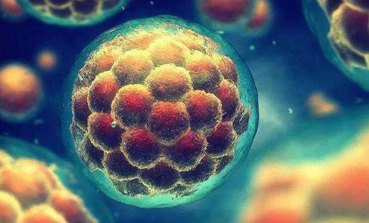 武汉试管包生男孩要多少钱？附详细医院推荐？插图2
