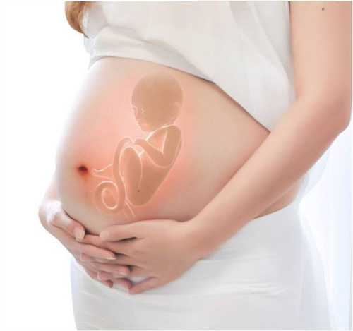 女性排卵生男孩的最佳时间段是?生儿子要在排卵前6小时同房吗插图 undefined