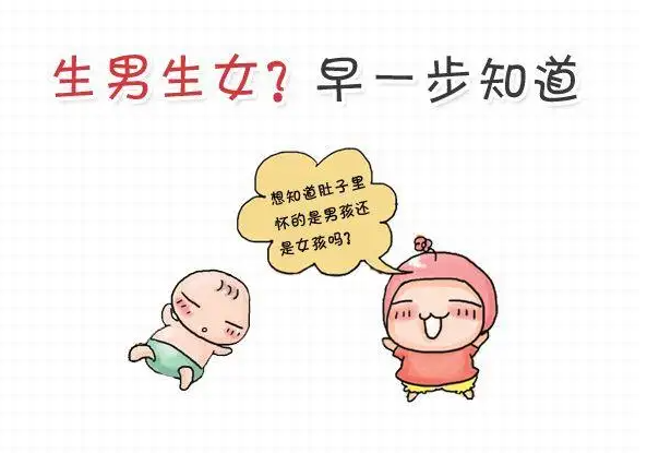 准妈妈总是犯困会生男宝吗？孕妇想睡觉是不是男孩？插图1