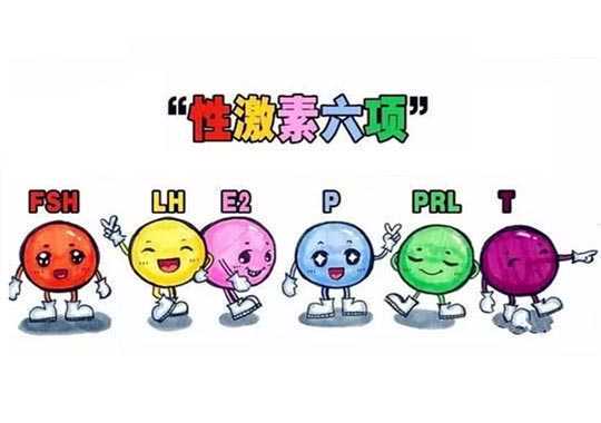 性激素六项插图
