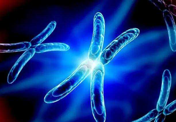 第三代试管男孩的价格怎么样？附生男孩明细费用插图1