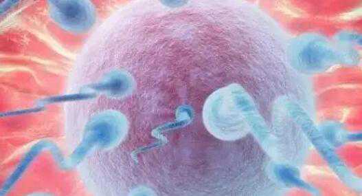 做个试管婴儿男孩多少钱？试管生男孩费用多少？插图