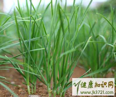 女性经期能喝蜂蜜吗多喝蜂蜜茶缓解腹痛插图5