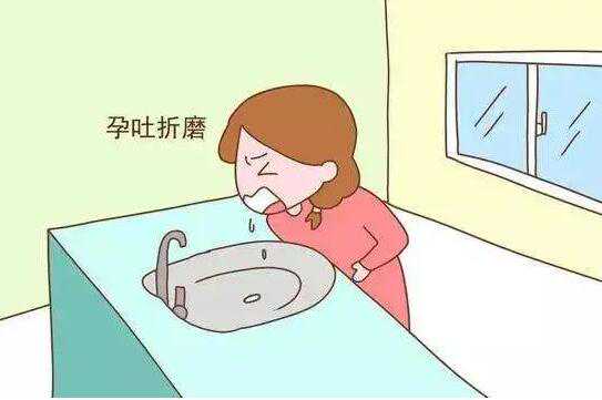 孕吐严重是男方精子强大？孕吐和精子有什么关系？插图2