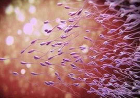 精子不液化能做试管婴儿吗?插图 精子不液化能做试管婴儿吗?插图