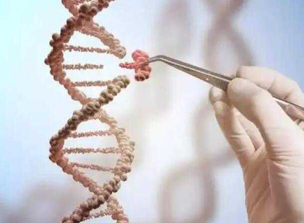 安徽三代试管包生男孩价格？附生男孩费用明细插图1