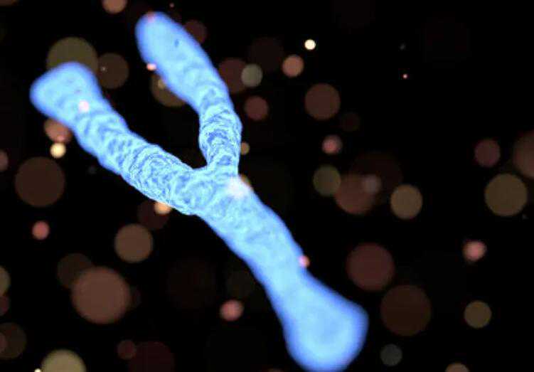 试管做男孩价格？附详细生男孩报价插图