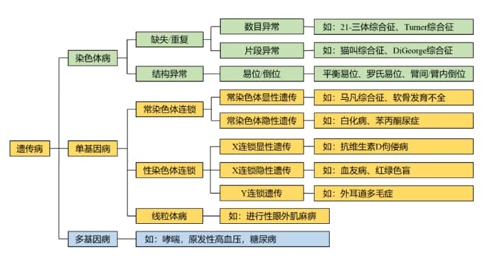 高龄女性做试管婴儿，年龄对成功率有多大影响插图
