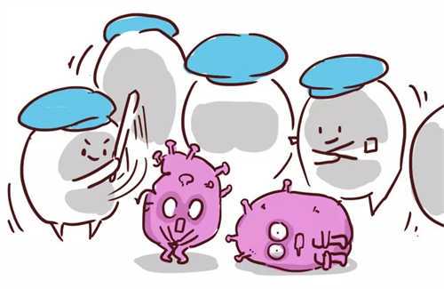 备孕期间哪些食物有助于排毒?备孕检查大概花多少钱?插图1 undefined