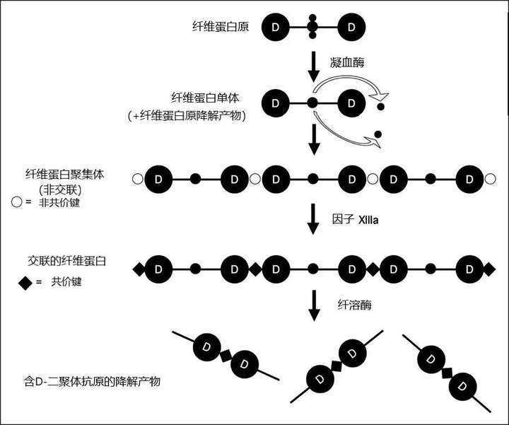 2025年北京私立试管婴儿医院选择指南，聊聊包成功的那些事插图