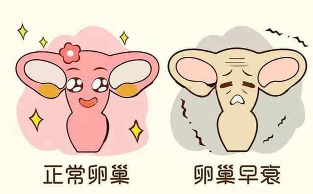 私立医院试管包成功靠谱吗？听听过来人的经验插图